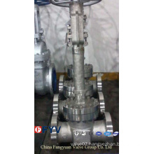 API 6D/598 Cast Steel Cryogenic Gate Valve